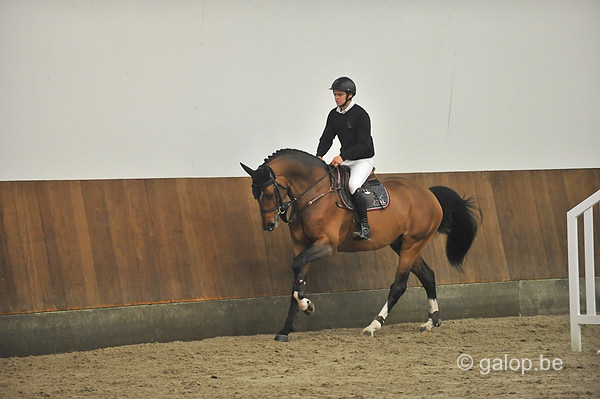 GA1_2750.jpg