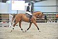 GA1_2313 - 