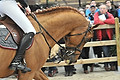 GA1_2333 - 