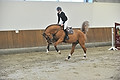 GA1_2352 - 
