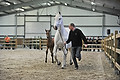 GA1_2363 - 