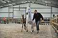 GA1_2364 - 