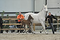 GA1_2366 - 