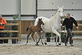 GA1_2367 - 