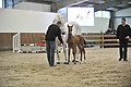 GA1_2373 - 