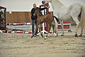 GA1_2378 - 