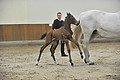 GA1_2381 - 