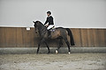GA1_2384 - 