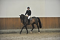 GA1_2385 - 