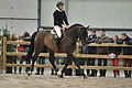 GA1_2390 - 