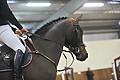 GA1_2457 - 
