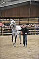 GA1_2464 - 