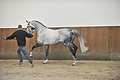 GA1_2475 - 
