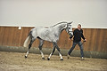 GA1_2477 - 