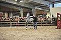GA1_2486 - 