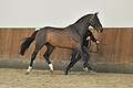 GA1_2513 - 