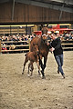 GA1_2583 - 