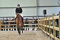 GA1_2608 - 