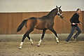 GA1_2664 - 