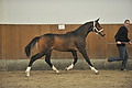 GA1_2666 - 