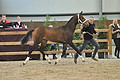 GA1_2667 - 