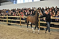 GA1_2673 - 