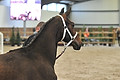 GA1_2680 - 