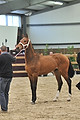 GA1_2681 - 