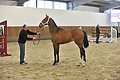 GA1_2686 - 