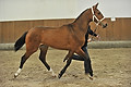 GA1_2694 - 