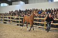 GA1_2697 - 
