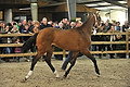 GA1_2704 - 