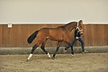 GA1_2706 - 