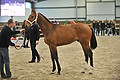 GA1_2717 - 