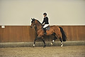 GA1_2722 - 