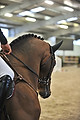 GA1_2730 - 