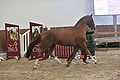 GA1_2828 - 