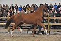 GA1_2844 - 