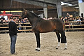 GA1_2867 - 