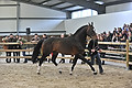 GA1_2879 - 