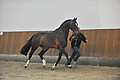 GA1_2884 - 