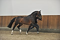 GA1_2886 - 