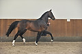 GA1_2889 - 