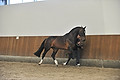 GA1_2895 - 