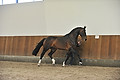 GA1_2896 - 