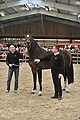 GA1_2911 - 