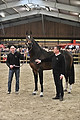 GA1_2914 - 