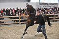 GA1_2959 - 