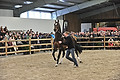 GA1_2972 - 